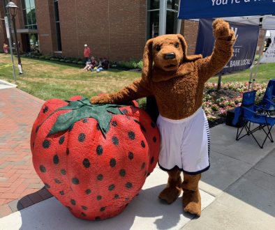 Super Banks Big Strawberry